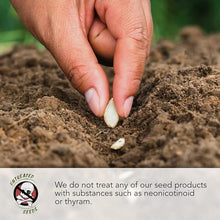 Load image into Gallery viewer, LAST DAY SALE 50% OFF - 💝Mixed Perennial Flowers Seeds-Over 60 kinds mixed