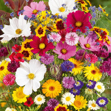 Load image into Gallery viewer, LAST DAY SALE 50% OFF - 💝Mixed Perennial Flowers Seeds-Over 60 kinds mixed