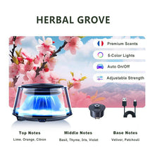 Load image into Gallery viewer, Cloud Mist Car Diffuser - Auto On/Off with 1 Refill = 2 Year Freshness