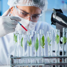 Load image into Gallery viewer, Cheemex® Bee Toxin Nodular Acupoint Stimulating Patch  Treats Diabesity, Obesity, High Blood Sugar Level
