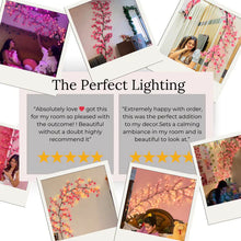 Load image into Gallery viewer, MEMORIES INSITE™BRANCH LIGHT CHERRY BLOSSOM TREE BRANCH LIGHTING
