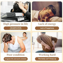 Load image into Gallery viewer, Ginseng &amp; Mulberry Herbal Tea
