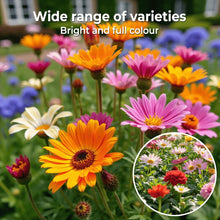 Load image into Gallery viewer, LAST DAY SALE 50% OFF - 💝Mixed Perennial Flowers Seeds-Over 60 kinds mixed
