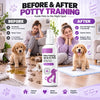Pet Potty Training Spray (Pack Of 3pcs)