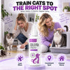 Pet Potty Training Spray (Pack Of 3pcs)