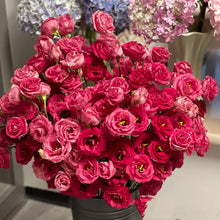 Load image into Gallery viewer, Easy Bloom Eustoma Premium Seeds
