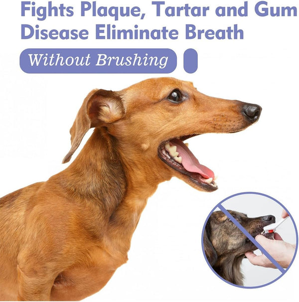 Miasaki Daily FreshPaws Oral Spray