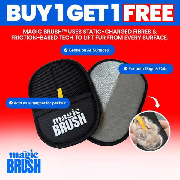 Quick Groom Pet Glove