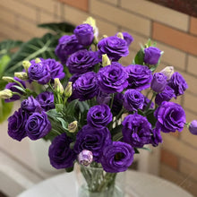 Load image into Gallery viewer, Easy Bloom Eustoma Premium Seeds
