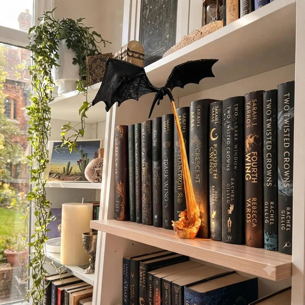 Dragon Flame Book Nook