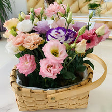 Load image into Gallery viewer, Easy Bloom Eustoma Premium Seeds
