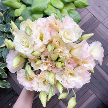 Load image into Gallery viewer, Easy Bloom Eustoma Premium Seeds
